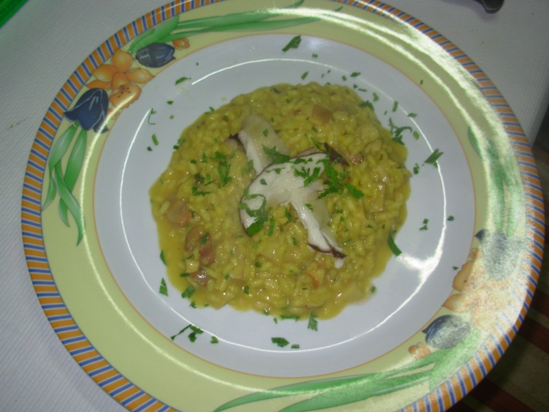 lardoni lardoni