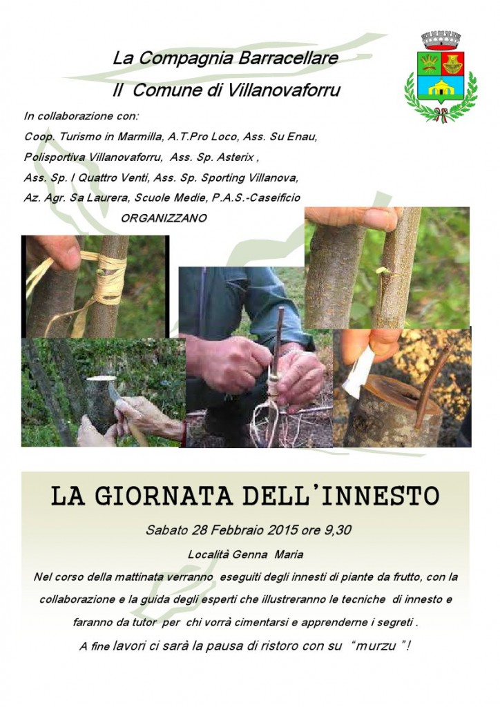 Giornata dell'innesto villanovaforru