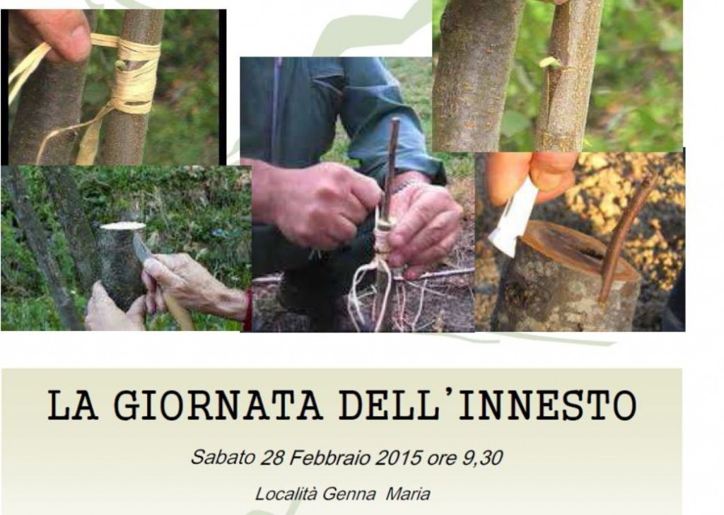Giornata dell’innesto a Villanovaforru