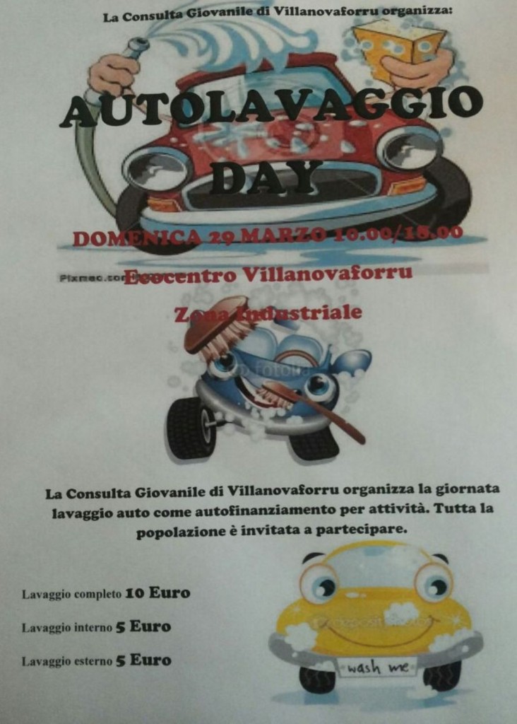 Giornata del lavaggio auto