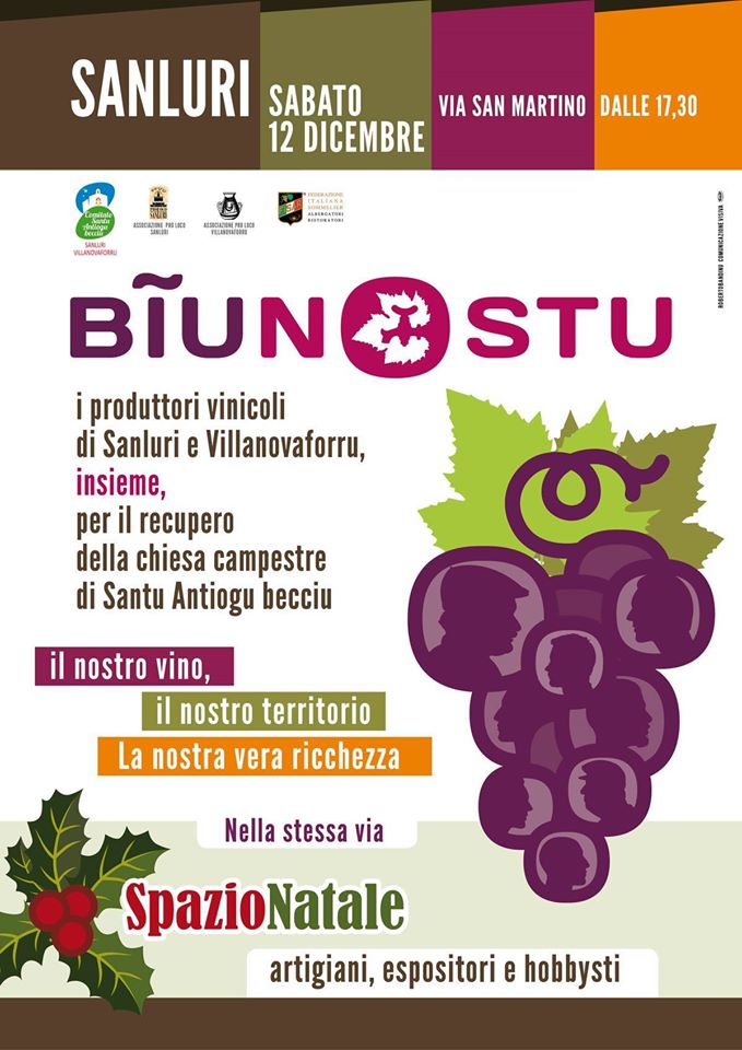 locandina binu