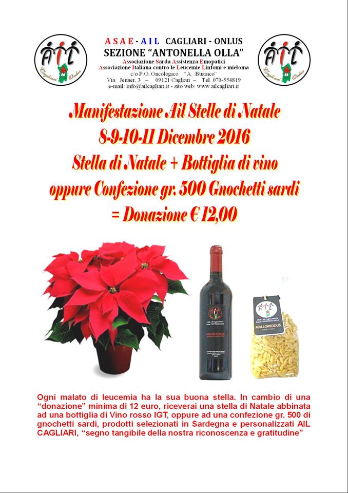 Stelle di Natale Ail: raccolta fondi a Villanovaforru