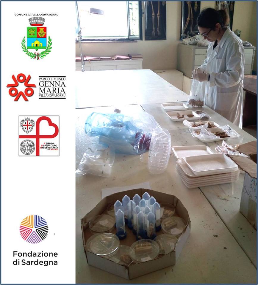 Studio del DNA antico a Villanovaforru studio dna sardegna sardi laboratorio villanovaforru