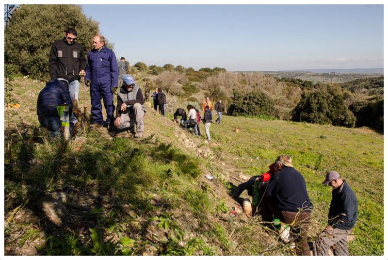 innesto villanovaforru sardegna